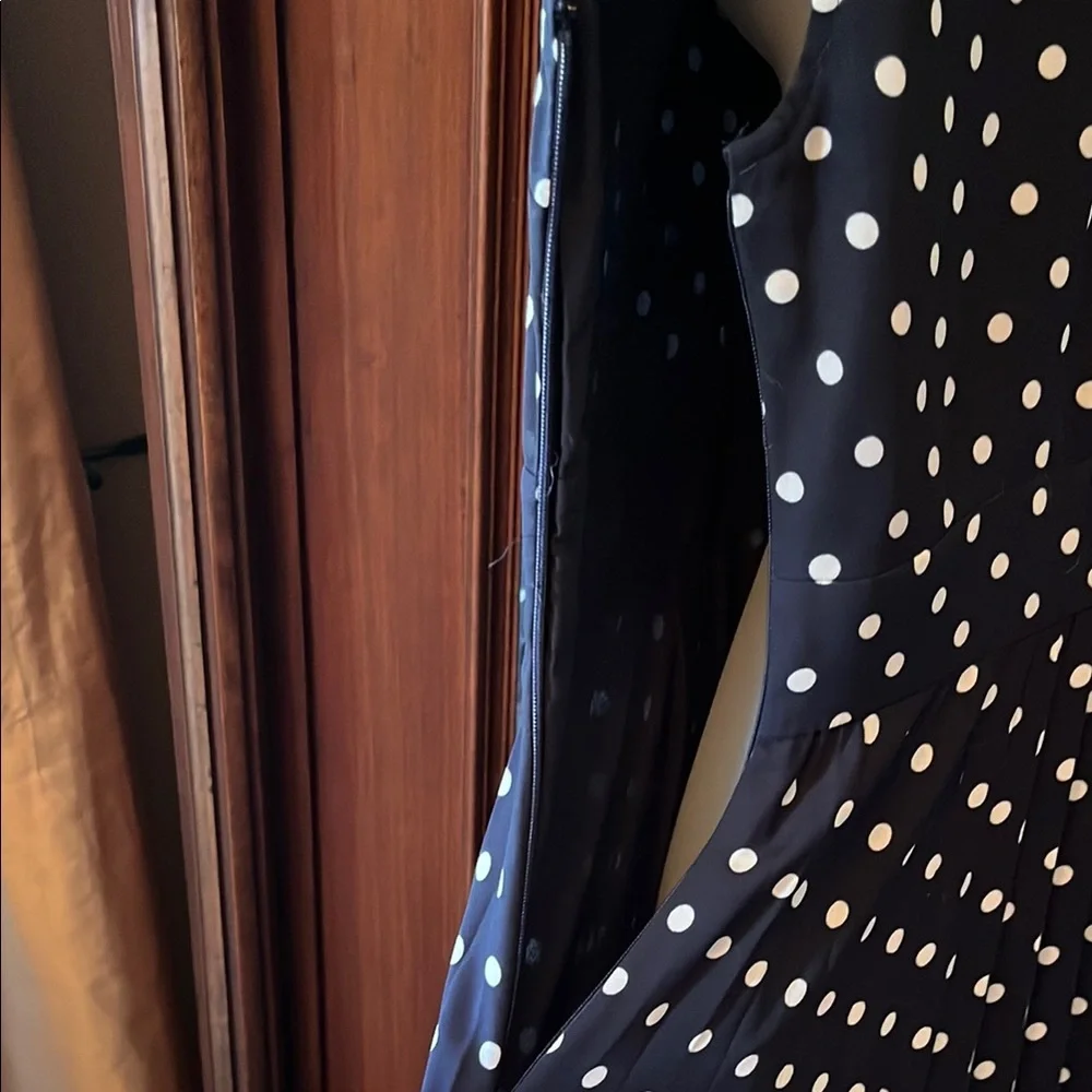 J. Crew Black Polka Dot Dress - Picture 4 of 5